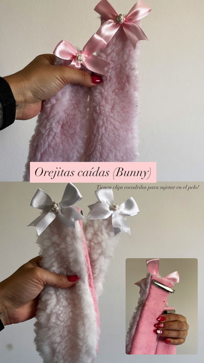 Orejas caídas BUNNY