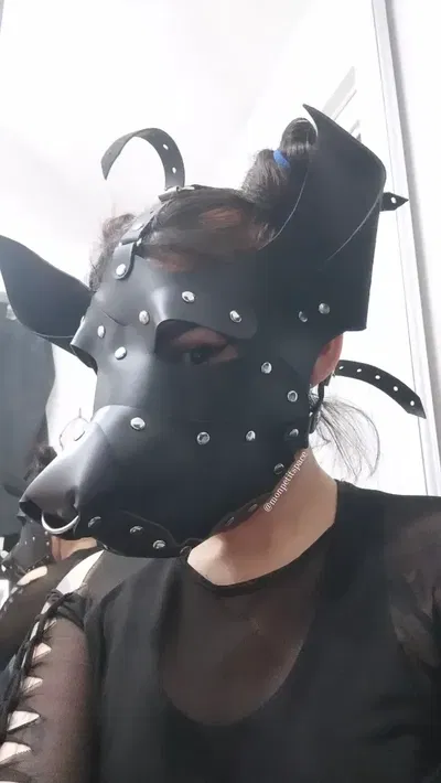 Máscara PUPPY (perro)