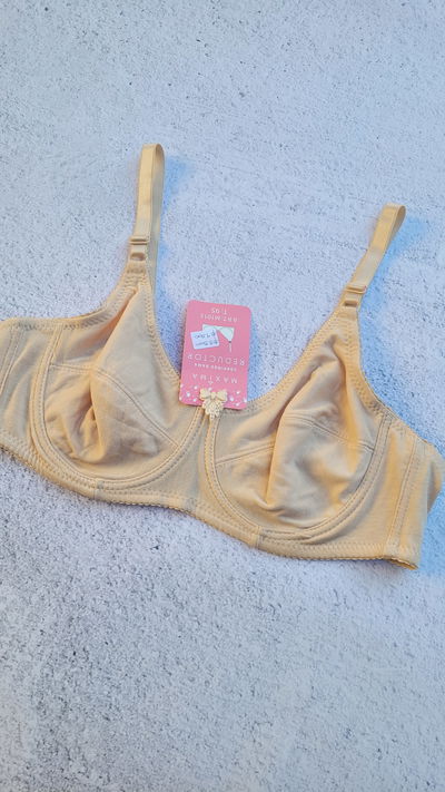 Maxima avellana Talle 115