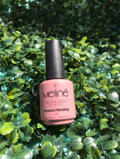 MELINE VENETIAN WEDDING