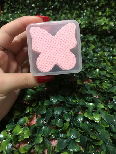 WIPES DE MARIPOSA