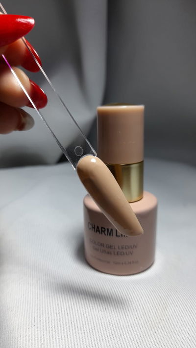 ESMALTE CHARM N20