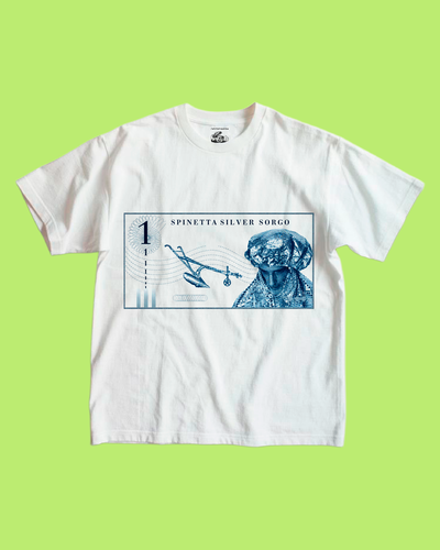 SILVER SORGO - SPINETTA