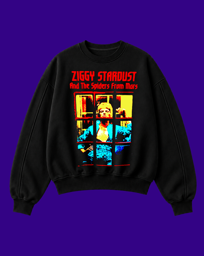 STARDUST #3 - DAVID BOWIE - Buzo Boxy