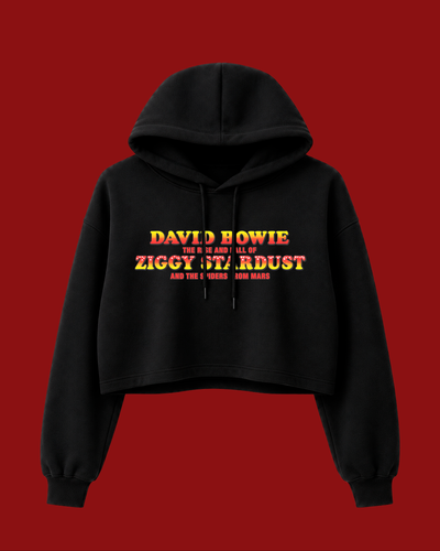 STARDUST #1 - DAVID BOWIE - Buzo Crop