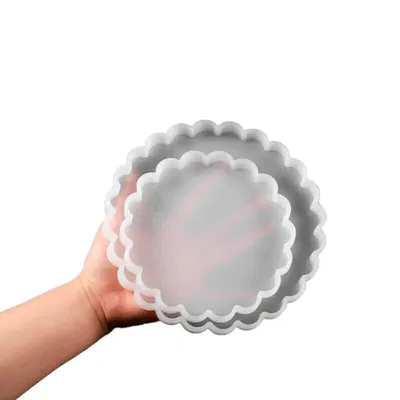 Molde de silicona para resina bandejas x2