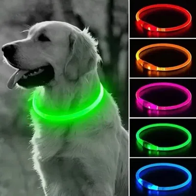 Collar 35/50/70Cm Para Mascotas Con Luz Led Recargable