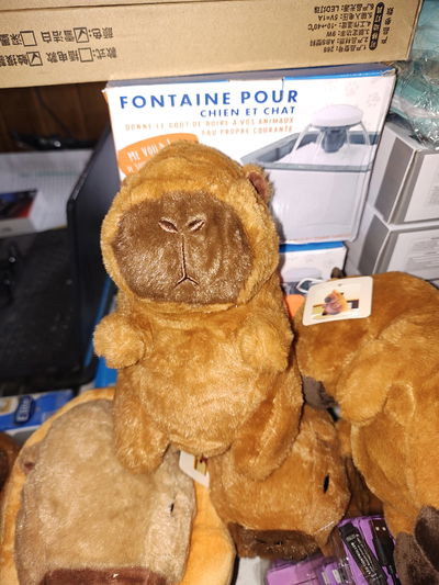 Peluche Capibara Clásico