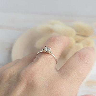 Anillo Brillo