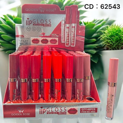 Lip Gloss - Qoiden rose
