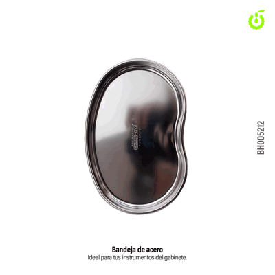 BANDEJA DE ACERO - CHERIMOYA