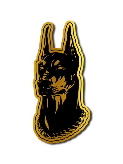 Doberman - Dorado