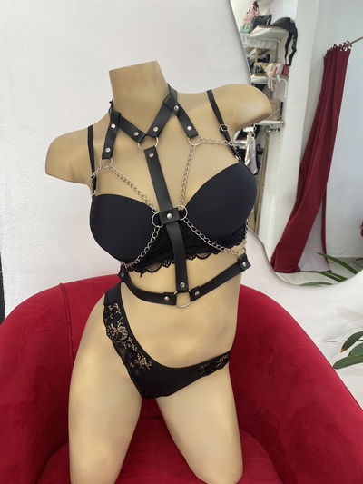 Arnés de Pecho (Todo regulable)