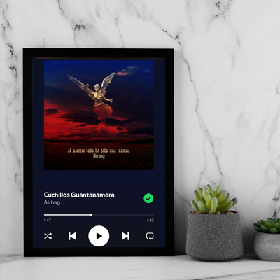 Cuadro Spotify