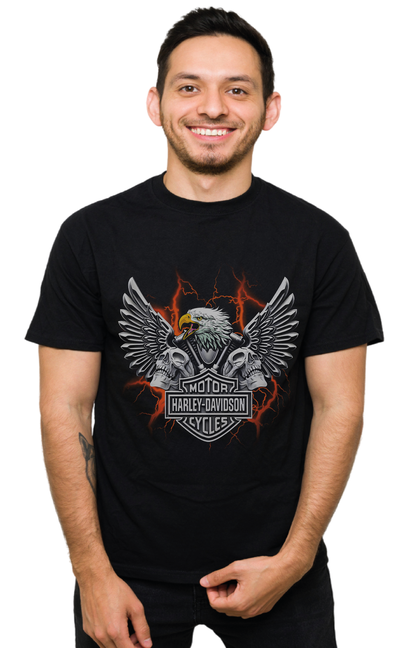 Harley-Davidson 