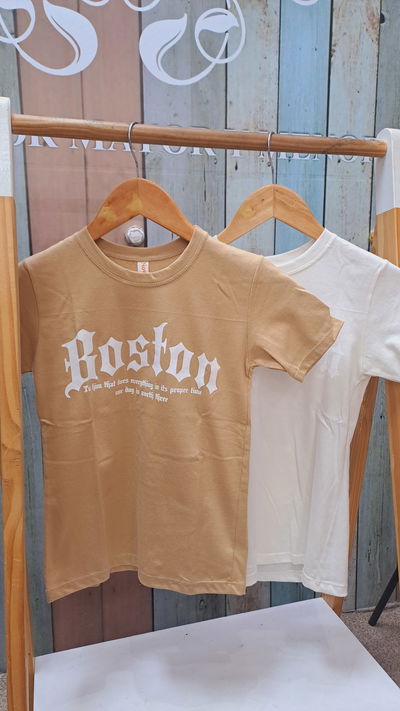 Remeron Boston