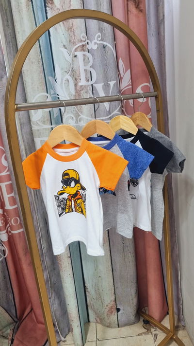 Remera manga ranglan