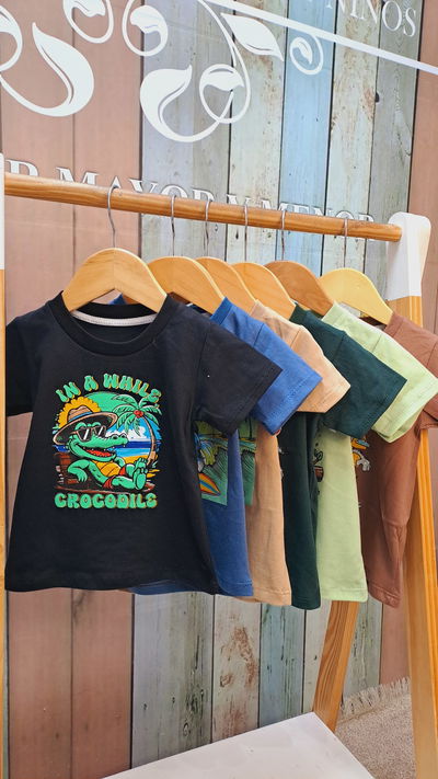 Remeras lisas
