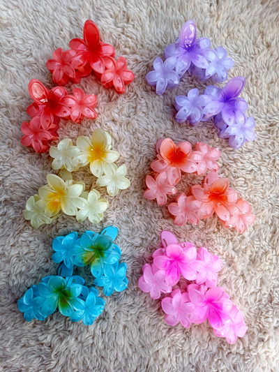 Broches hawaii