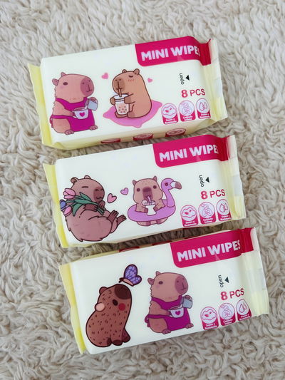 Toallitas Húmedas desmaquillantes capibara 