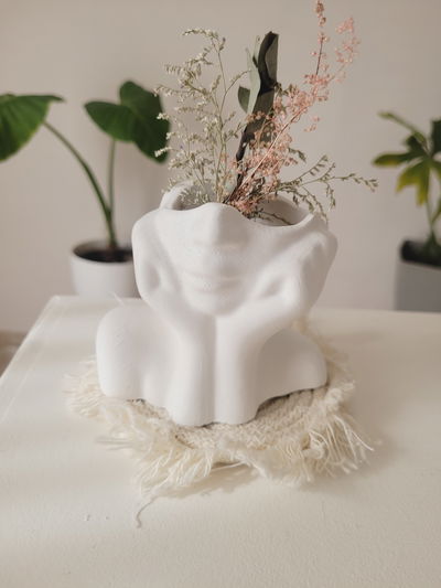 Florero cara