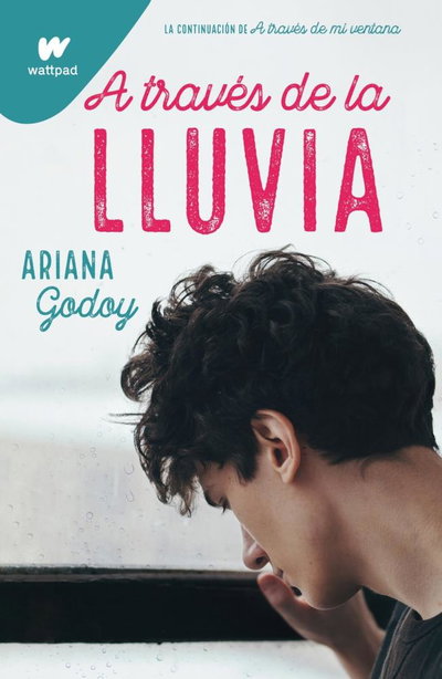 A través de la lluvia - Ariana Godoy