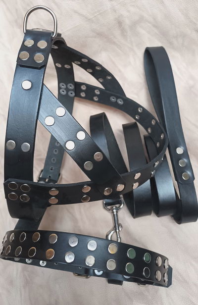 Set de paseo completo "Avil"