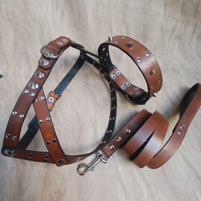 Set de paseo completo "Urub"