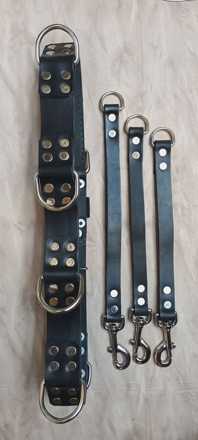 Cinturon de Paseo + 3 manoplas