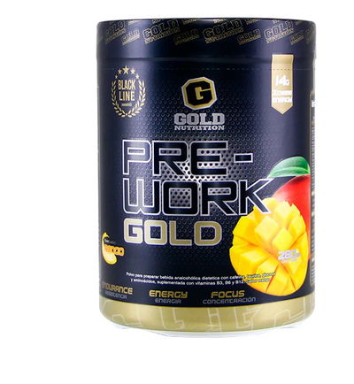PRE-WORKOUT GOLD x 280 gr.