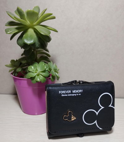 Billetera Mickey