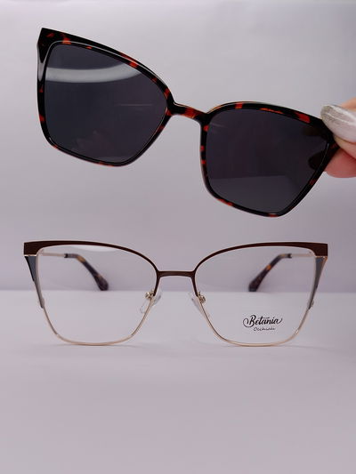 Clip on Casiopea - Print