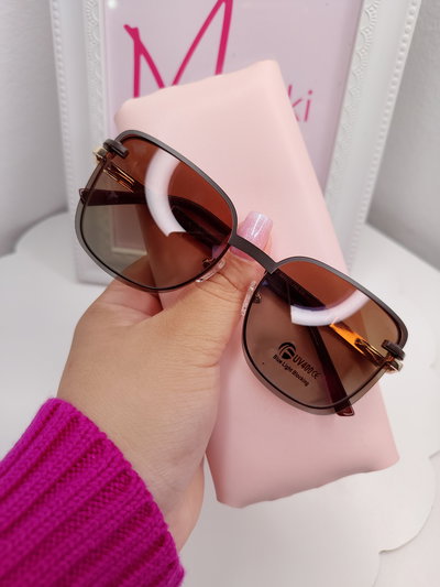 Armazón Clip on Antiblue con uv 400 Florme - Marrón