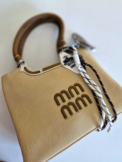 Cartera Miu Miu + Charms