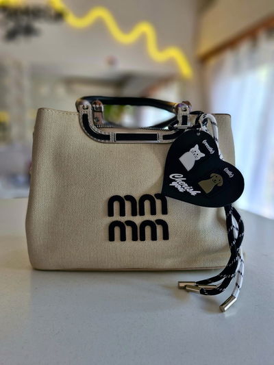 Cartera Miu Miu + Charms