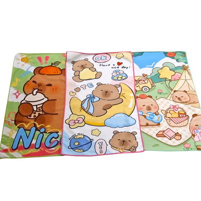 Pack x3 Repasadores Capibara SURTIDO