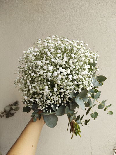 Ramo Gypsophilas tamaño M 