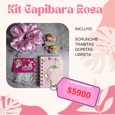 Kit Capibara Rosa