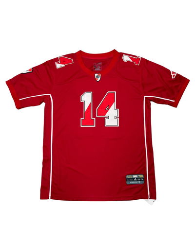 CAMISETA RIVER PLATE NFL