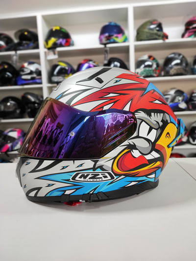 GO RIDER (doble visor)