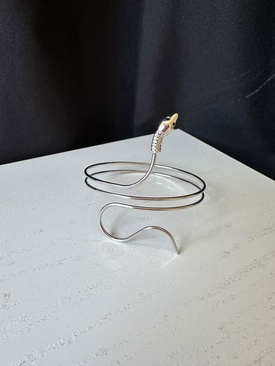 Choker snake 
