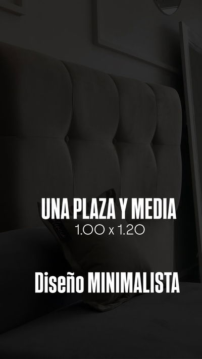 RESPALDO DE UNA PLAZA Y MEDIA