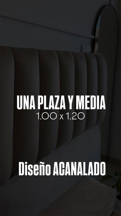 RESPALDO DE UNA PLAZA Y MEDIA 