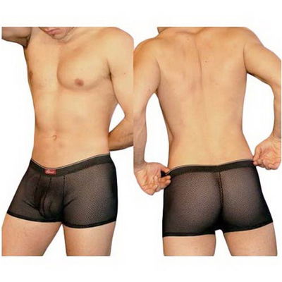 Boxer de Microred 