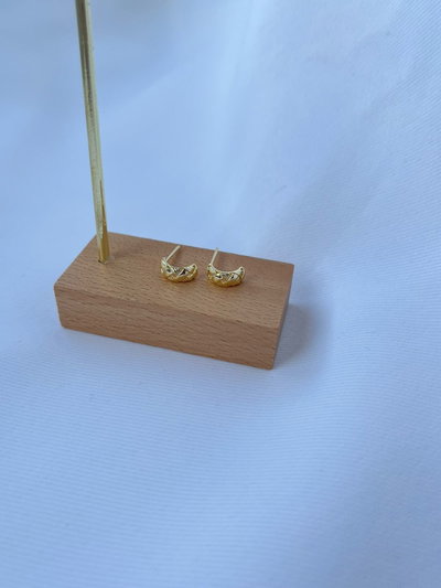 MEDIA ARGOLLITA CON MICROPAVE