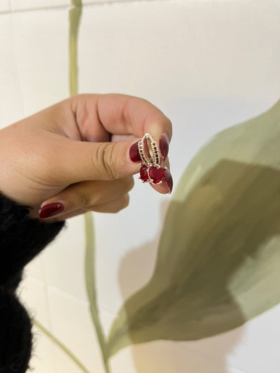 ARGOLLITA CON MICROPAVE ROJO 