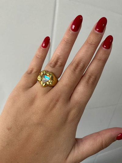 ANILLO FAIRI 