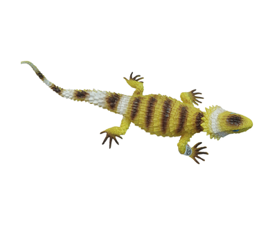 Lagartija plástico 