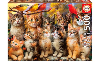 Rompecabezas 500 piezas Gatitos y Pájaros 