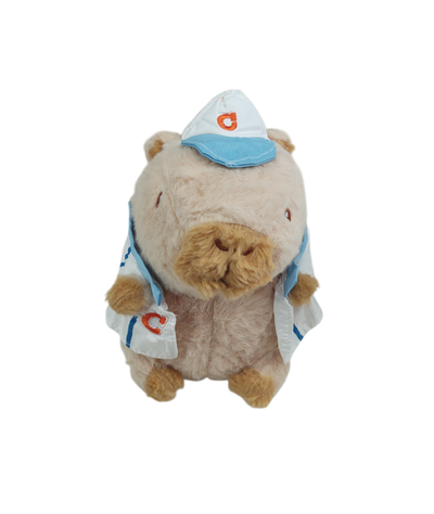 Capibara con ropa 